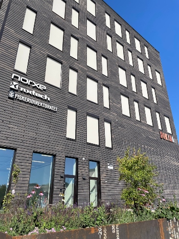 Dokka 6 på Værste 