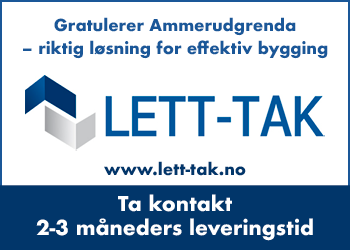 Taksystemet til Ammerugrenda ble levert av Lett-Tak AS. 