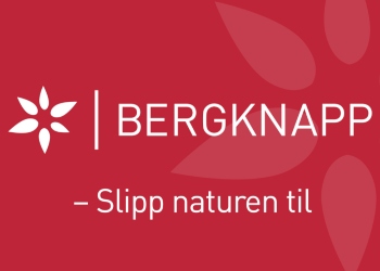 Bergknapp AS - Grønne tak