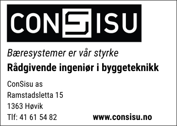 Consisu AS - Triaden 