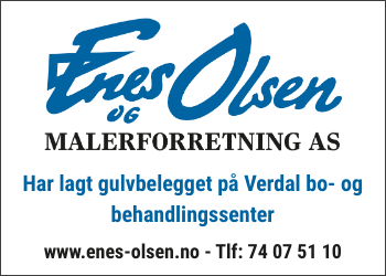 Malermester Enes Olsen AS