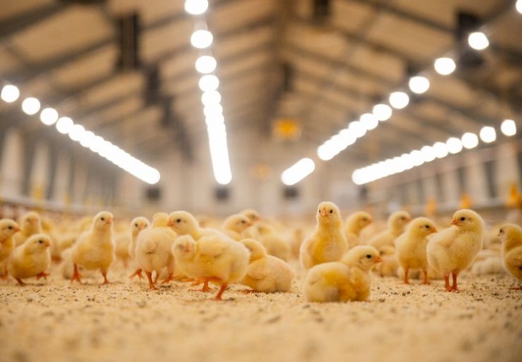 BB Elektro søker elektriker Lei av å være “nummer 17”? Hos oss får du firmabil, firmabåt og reell innflytelse