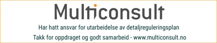 Multiconsult AS