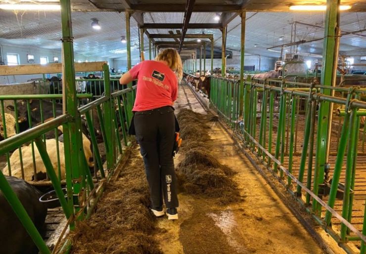 Bøndenes elektriker Fra agronom til elektriker